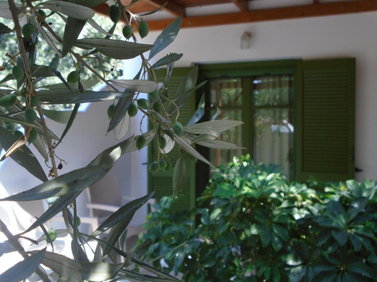 Leros Eleonas Apartments Άλιντα Εξωτερικό φωτογραφία