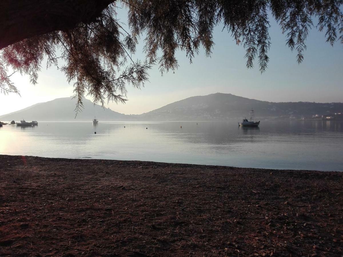 Leros Eleonas Apartments Άλιντα Εξωτερικό φωτογραφία
