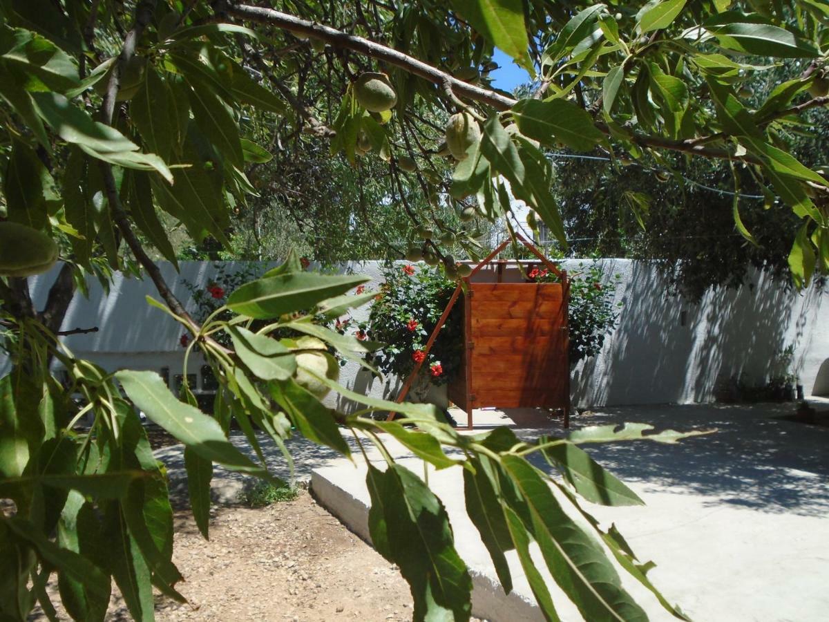 Leros Eleonas Apartments Άλιντα Εξωτερικό φωτογραφία