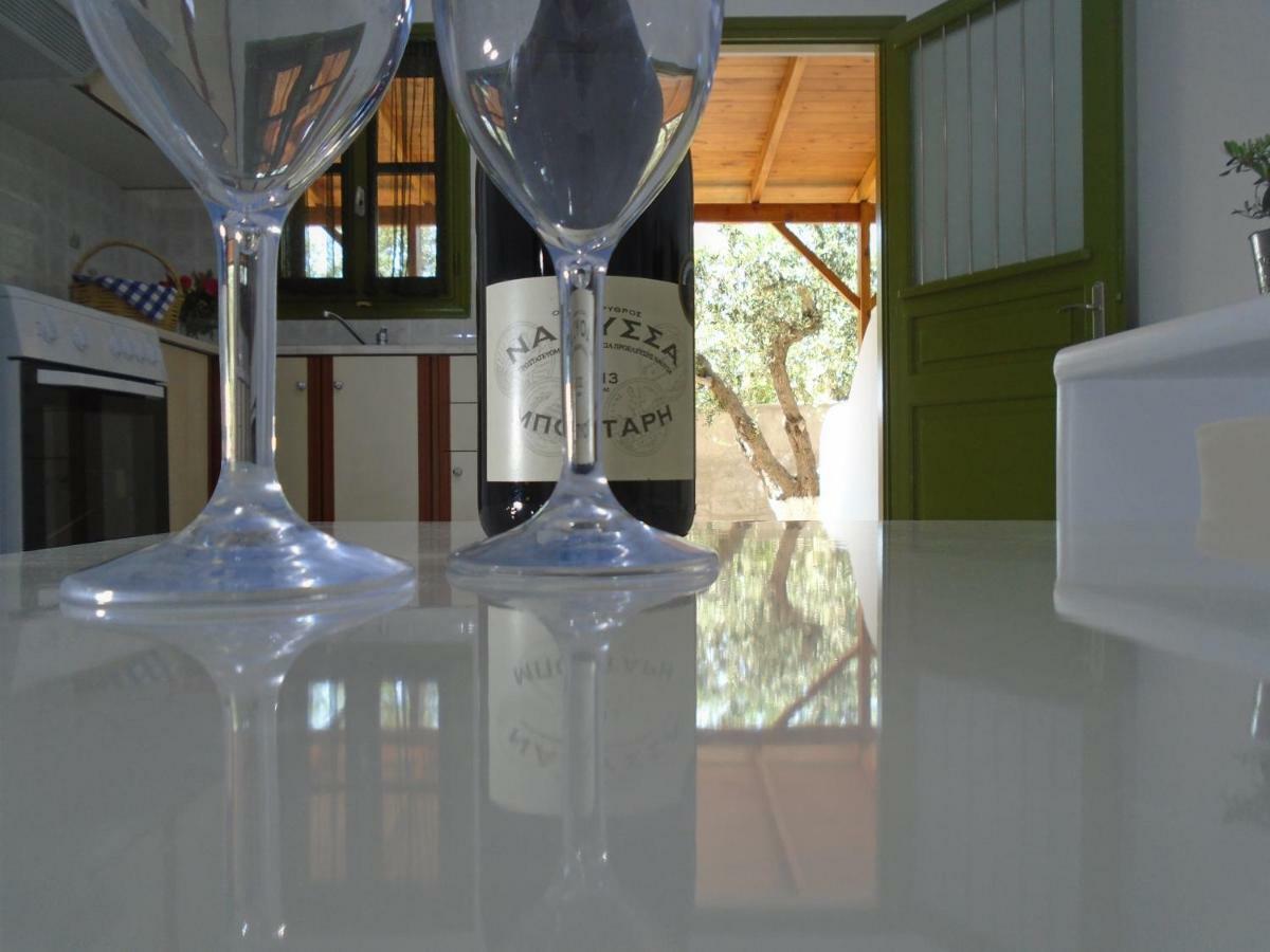 Leros Eleonas Apartments Άλιντα Εξωτερικό φωτογραφία