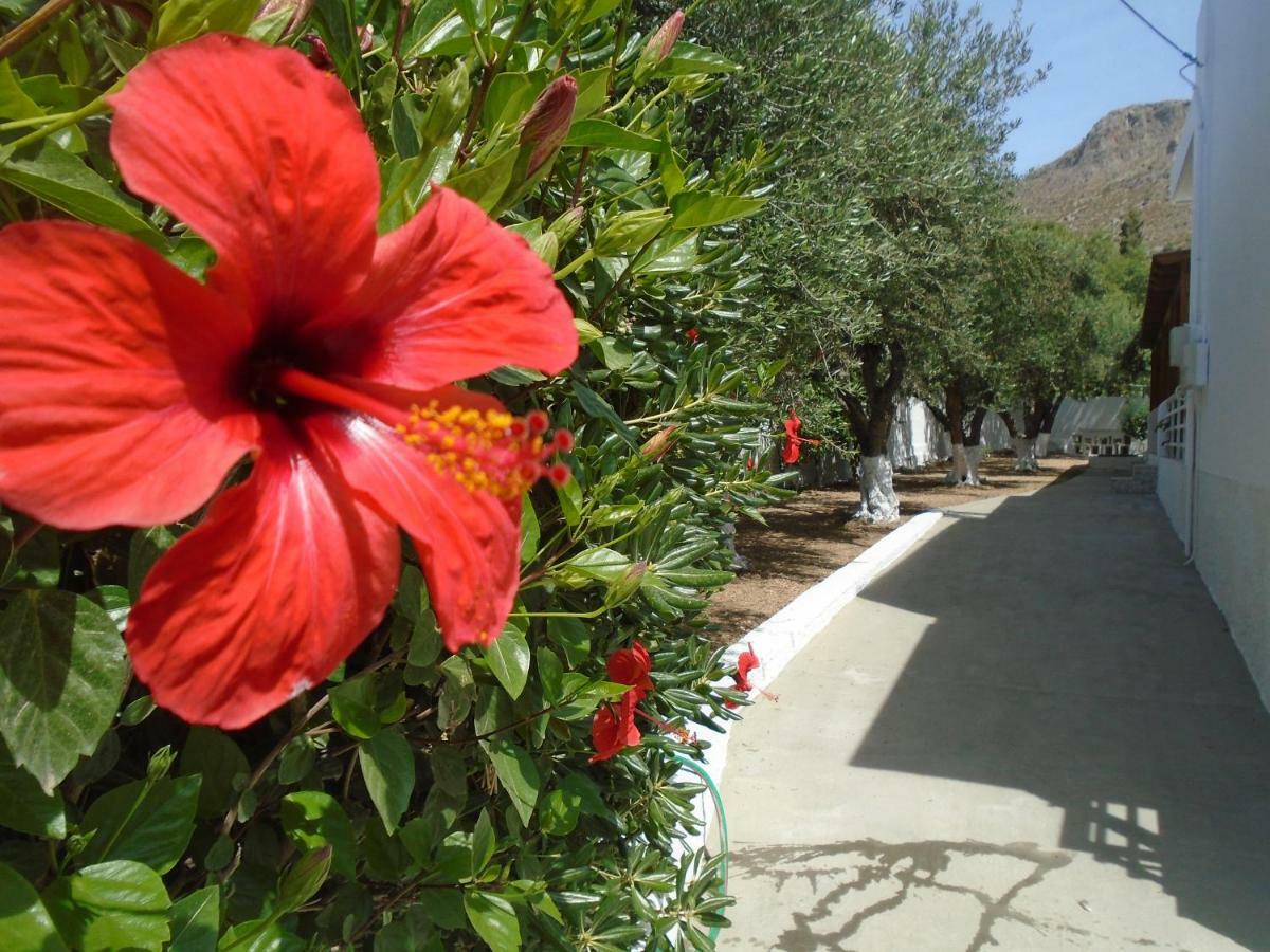 Leros Eleonas Apartments Άλιντα Εξωτερικό φωτογραφία